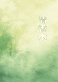 避风港